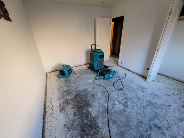 Best Water damage cleanup near me  in Foresthill, CA