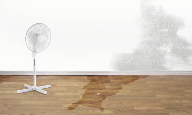 Best Commercial water damage restoration  in Foresthill, CA