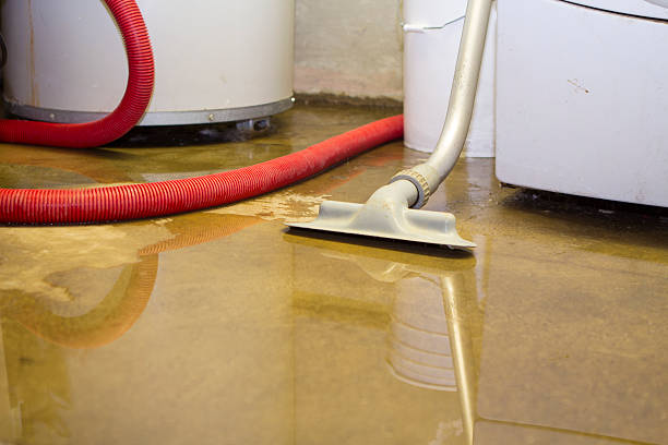 Best Fire Damage Restoration  in Foresthill, CA