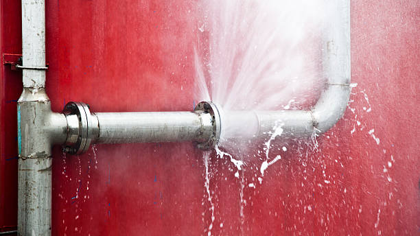 Best Carpet water damage restoration  in Foresthill, CA
